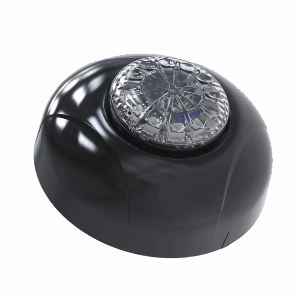 Estrobo Oculto de 12 LED, Brida negra, 12 Vcd, Clara, Lente transparente