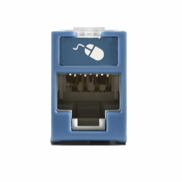 Jack UltraMAX Cat6, UTP, Montaje híbrido en Placa de Pared (Plano y Angulado), Color Azul, Punch Down