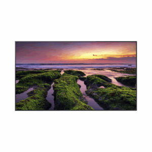 Pantalla Profesional LED de 55″, UHD 4K (3840x2160p), Entradas de Video HDMI, Bocinas Integradas de 10 W. Compatible VESA