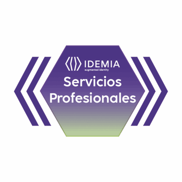 REMOTE ASSISTANCE JUNIOR 4 HORAS