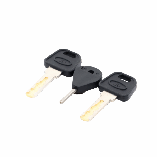 Llave de Puerta de Estación de Panico DS-PEA3M-21 / DS-PEA3M-21H﻿ (Repuesto)