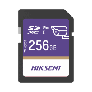 Memoria SD Clase 10 de 256 GB / Especializada Para Videovigilancia