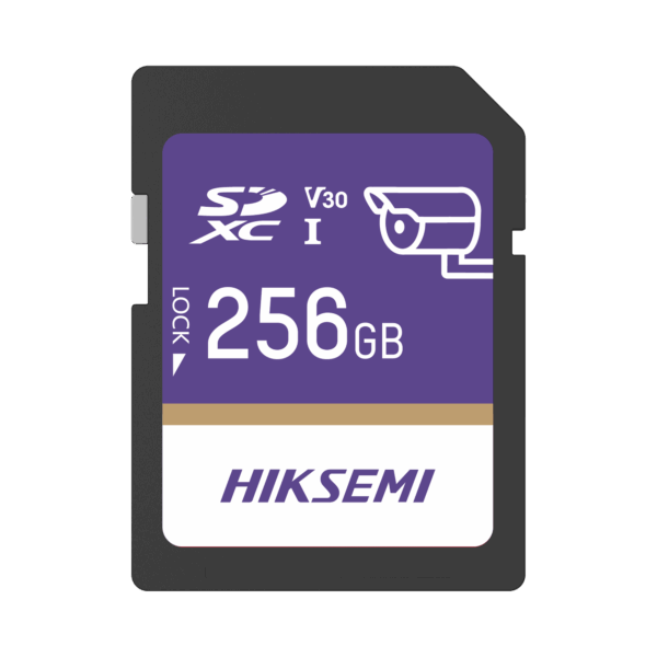 Memoria SD Clase 10 de 256 GB / Especializada Para Videovigilancia