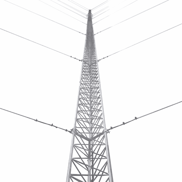 Kit de Torre Arriostrada de Techo de 21 m con Tramo STZ30G Galvanizada por Inmersión en Caliente (No incluye retenida).