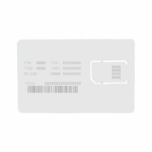 RENOVACION POR UN AÑO DE SERVICIO PARA SIM25MB