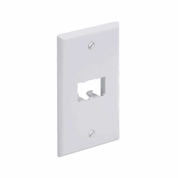 Placa de Pared Vertical Clásica, Salida Para 2 Puertos Mini-Com, Color Blanco