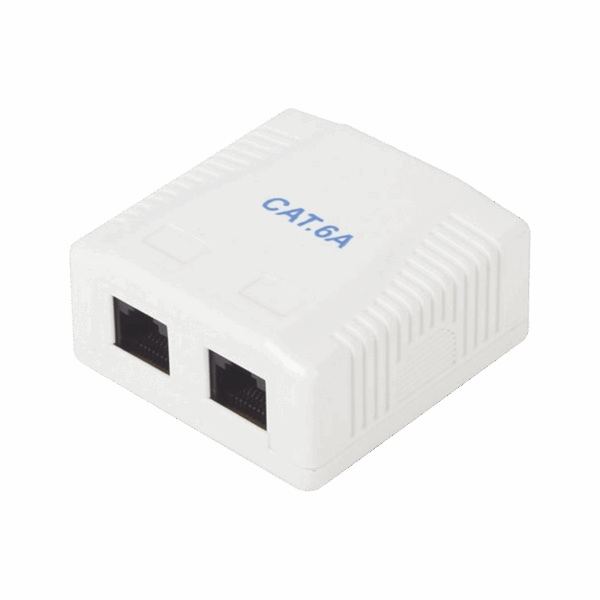 Caja de pared con 2 puertos, incluye 2 jacks UTP Cat6A