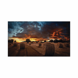 Pantalla Profesional LED de 55″ para Video Wall, Full ...