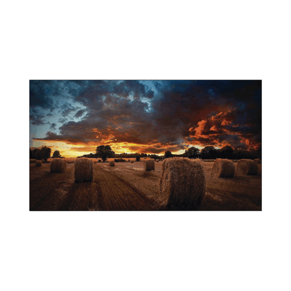 Pantalla Profesional LED de 55" para Video Wall, Full HD (1080p), HDMI/DVI-D/DP, Bisel Ultra Delgado de 2.3mm. Compatible VESA