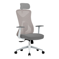 SILLA ERGONOMICA ACTECK FLOE PRO EC737 / INCLINACION 35 GRAD...